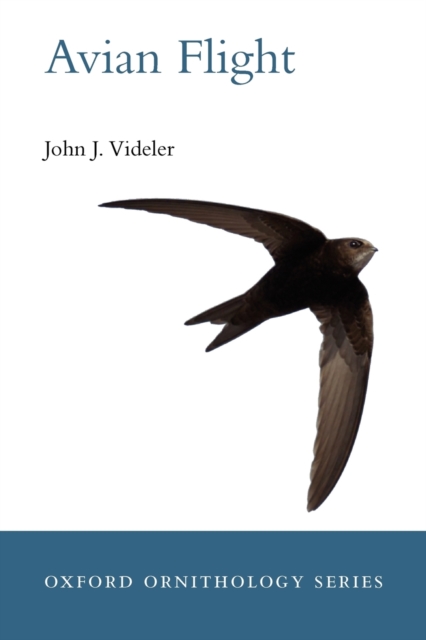 Avian Flight, Paperback / softback Book