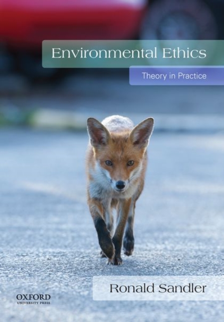 Environmental Ethics : Theory in Practice, Paperback / softback Book