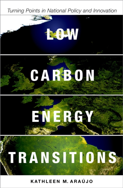 Low Carbon Energy Transitions : Turning Points in National Policy and Innovation, PDF eBook
