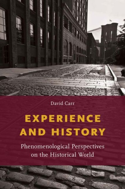 Experience and History : Phenomenological Perspectives on the Historical World, Hardback Book