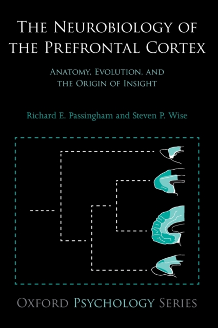 The Neurobiology of the Prefrontal Cortex : Anatomy, Evolution, and the Origin of Insight, Hardback Book