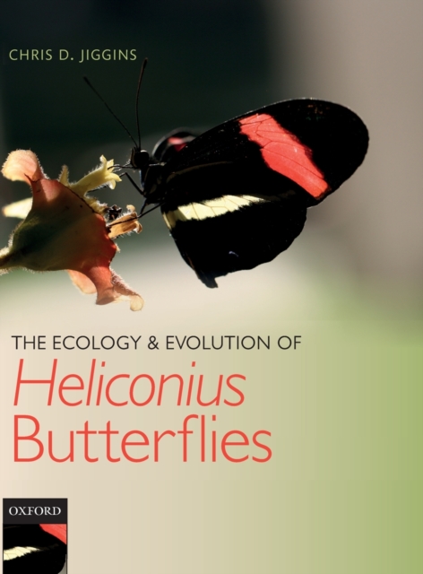 The Ecology and Evolution of Heliconius Butterflies, Hardback Book