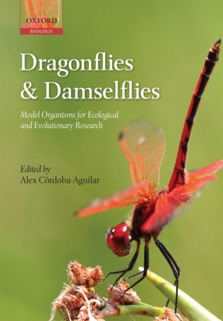 Dragonflies and Damselflies : Model Organisms for Ecological and Evolutionary Research, Paperback / softback Book