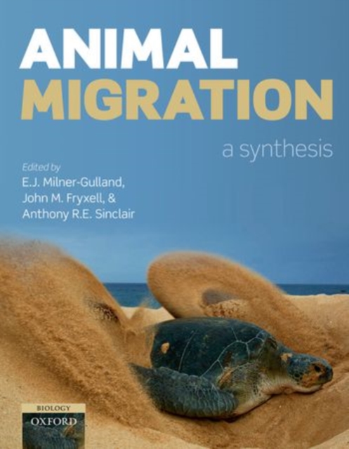 Animal Migration : A Synthesis, Paperback / softback Book