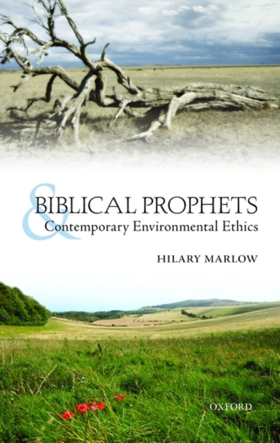 Biblical Prophets and Contemporary Environmental Ethics, Hardback Book