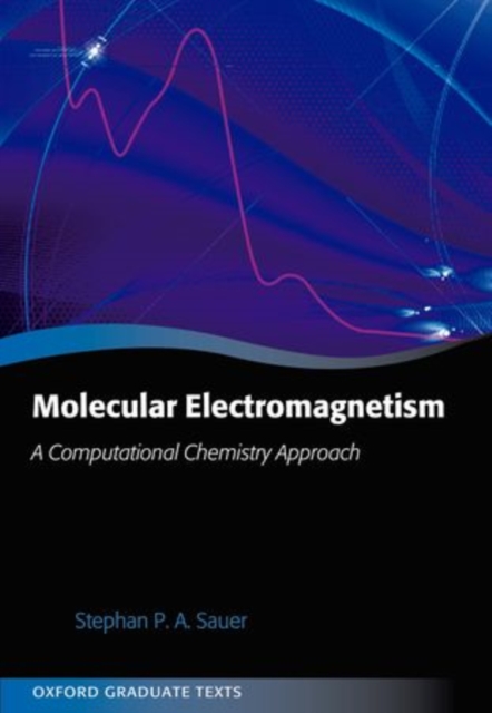 Molecular Electromagnetism: A Computational Chemistry Approach, Hardback Book