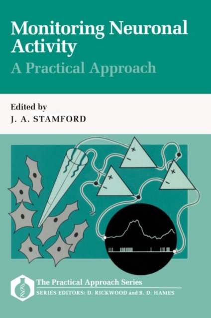 Monitoring Neuronal Activity : A Practical Approach, Paperback / softback Book