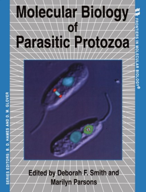 Molecular Biology of Parasitic Protozoa, Paperback / softback Book