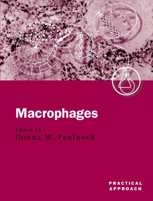 Macrophages : Practical Approach Series, Paperback / softback Book
