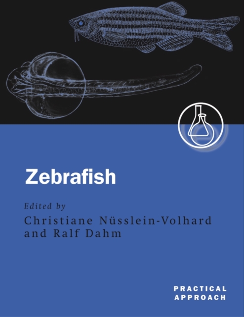 Zebrafish, Paperback / softback Book
