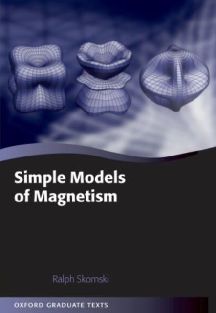 Simple Models of Magnetism, Paperback / softback Book