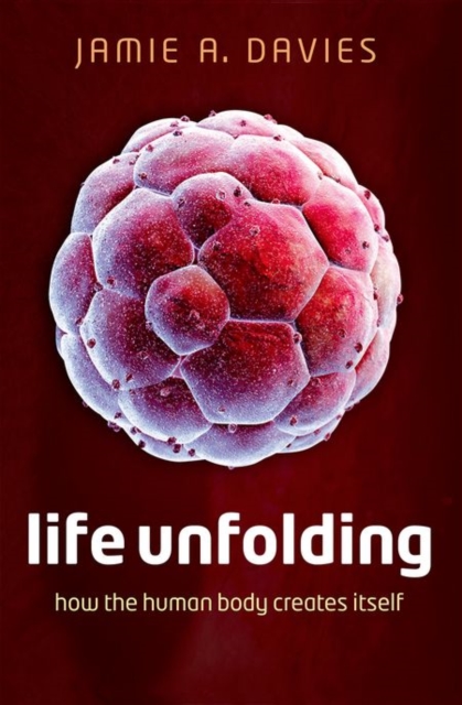 Life Unfolding : How the human body creates itself, Paperback / softback Book