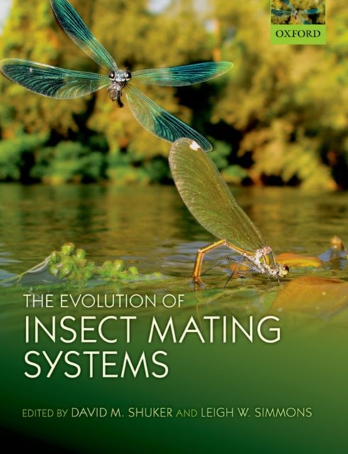 The Evolution of Insect Mating Systems, Paperback / softback Book
