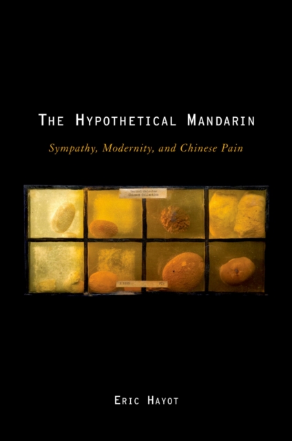 The Hypothetical Mandarin : Sympathy, Modernity, and Chinese Pain, PDF eBook
