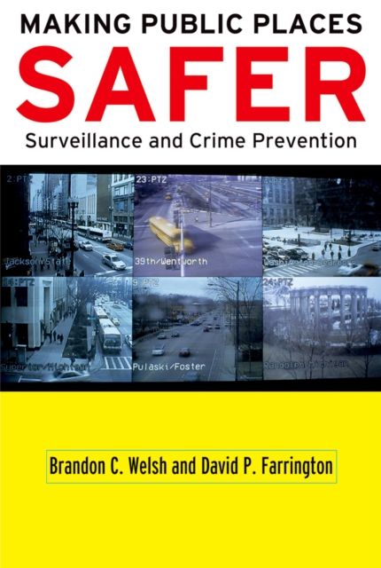Making Public Places Safer : Surveillance and Crime Prevention, PDF eBook
