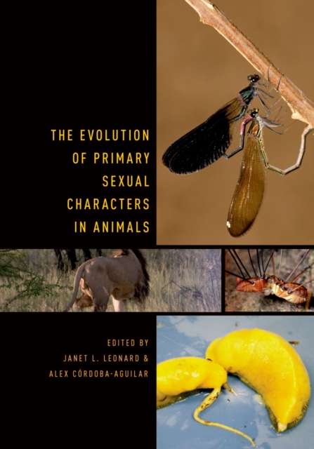 The Evolution of Primary Sexual Characters in Animals, PDF eBook