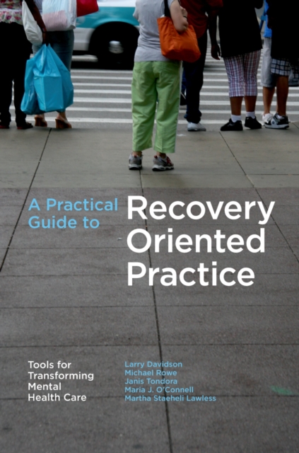 A Practical Guide to Recovery-Oriented Practice: Tools for Transforming Mental Health Care, PDF eBook