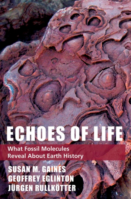 Echoes of Life : What Fossil Molecules Reveal about Earth History, PDF eBook