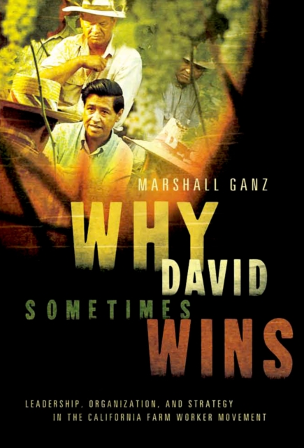 Why David Sometimes Wins : Leadership, Organization, and Strategy in the California Farm Worker Movement, PDF eBook