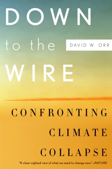 Down to the Wire : Confronting Climate Collapse, EPUB eBook