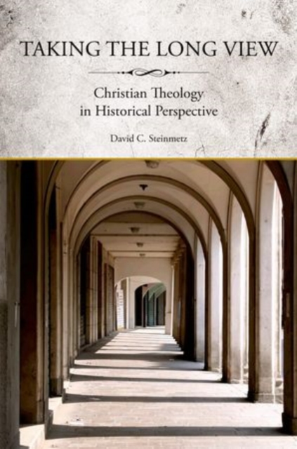 Taking the Long View : Christian Theology in Historical Perspective, Paperback / softback Book