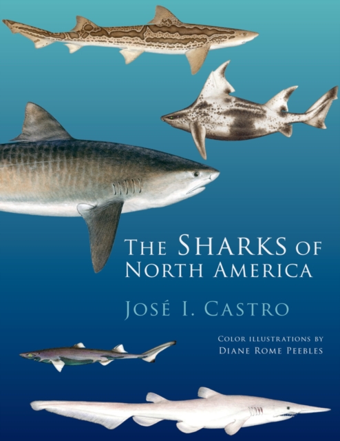 The Sharks of North America, PDF eBook