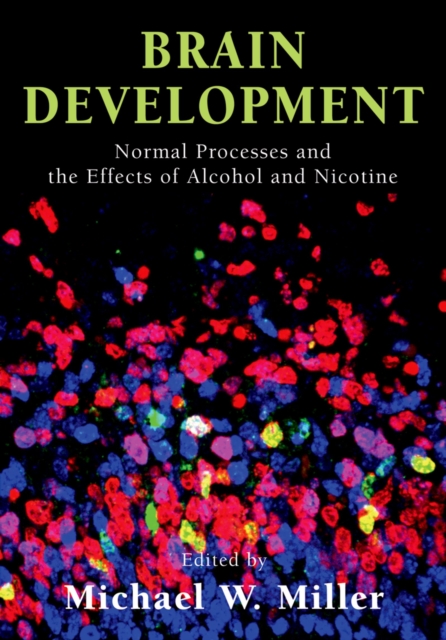 Brain Development : Normal Processes and the Effects of Alcohol and Nicotine, PDF eBook