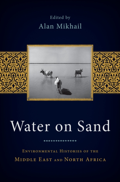 Water on Sand : Environmental Histories of the Middle East and North Africa, PDF eBook