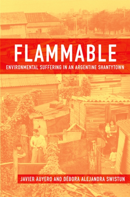 Flammable : Environmental Suffering in an Argentine Shantytown, EPUB eBook