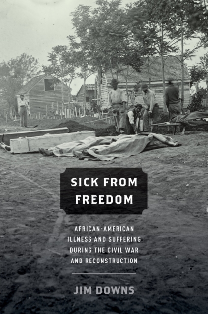 Sick from Freedom : African-American Illness and Suffering during the Civil War and Reconstruction, PDF eBook