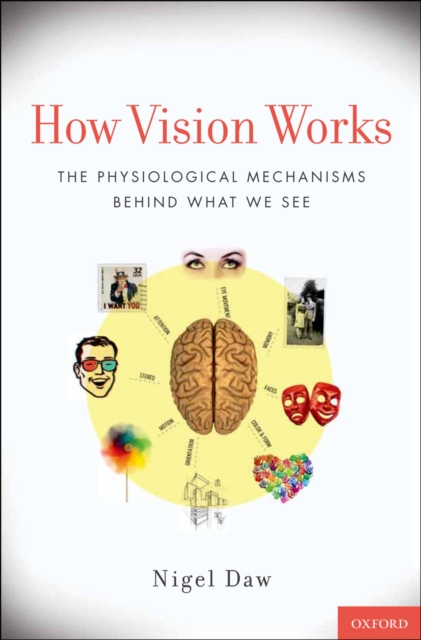 How Vision Works : The Physiological Mechanisms Behind What We See, PDF eBook