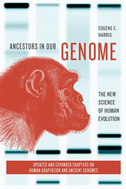 Ancestors in Our Genome : The New Science of Human Evolution, PDF eBook
