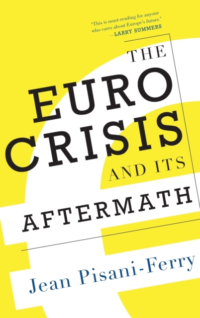 The Euro Crisis and Its Aftermath, Hardback Book