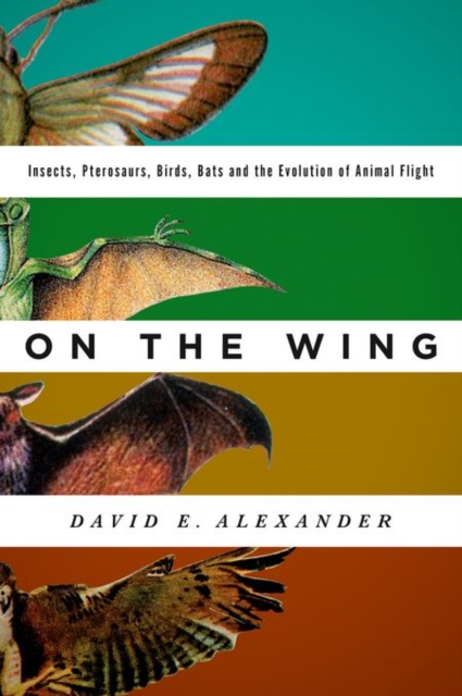 On the Wing : Insects, Pterosaurs, Birds, Bats and the Evolution of Animal Flight, Hardback Book