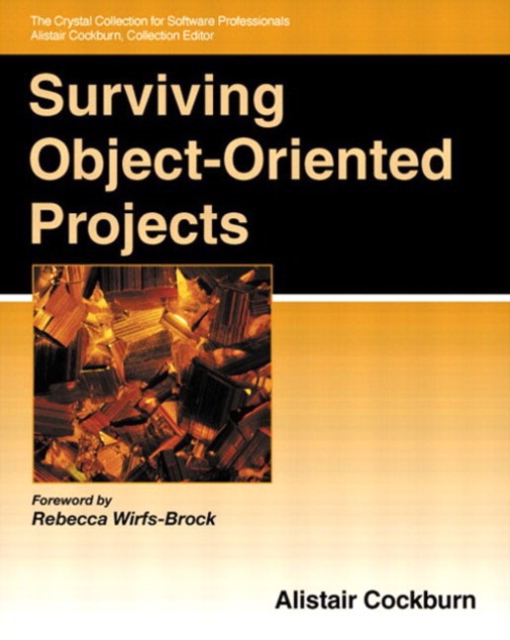 Surviving Object-Oriented Projects, Paperback / softback Book