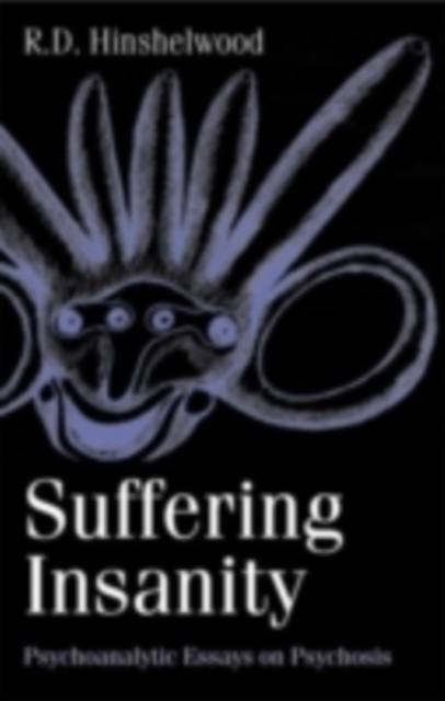Suffering Insanity : Psychoanalytic Essays on Psychosis, PDF eBook