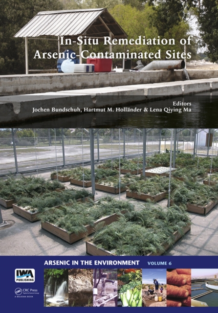 In-Situ Remediation of Arsenic-Contaminated Sites, PDF eBook
