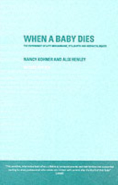 When A Baby Dies : The Experience of Late Miscarriage, Stillbirth and Neonatal Death, PDF eBook