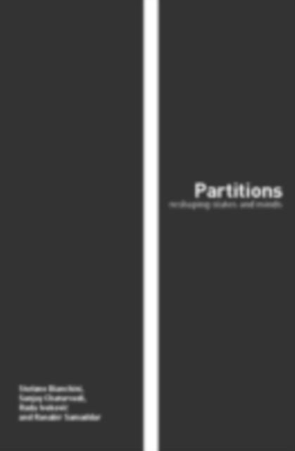 Partitions : Reshaping States and Minds, PDF eBook