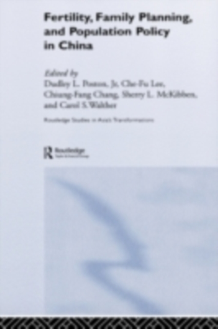 Fertility, Family Planning and Population Policy in China, PDF eBook