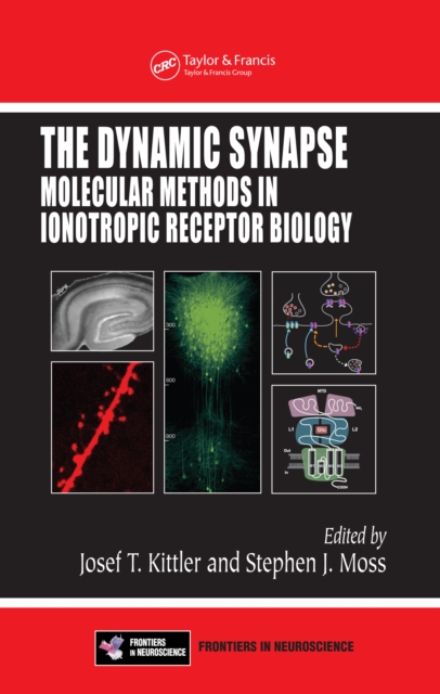 The Dynamic Synapse : Molecular Methods in Ionotropic Receptor Biology, PDF eBook