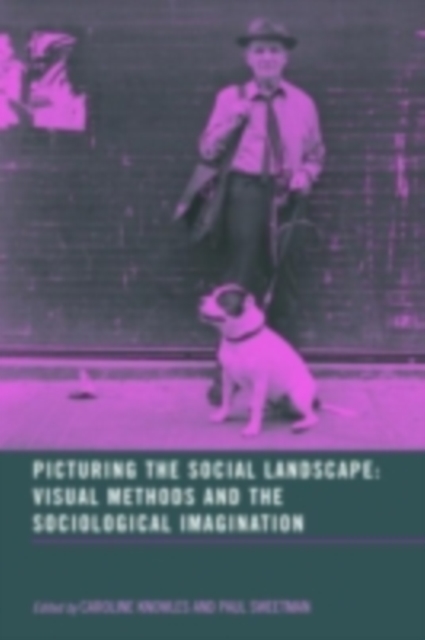 Picturing the Social Landscape : Visual Methods and the Sociological Imagination, PDF eBook