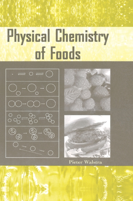 Physical Chemistry of Foods, PDF eBook