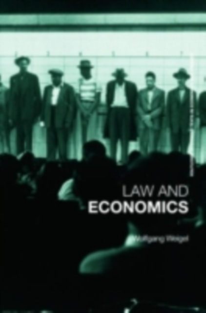 Economics of the Law : A Primer, PDF eBook