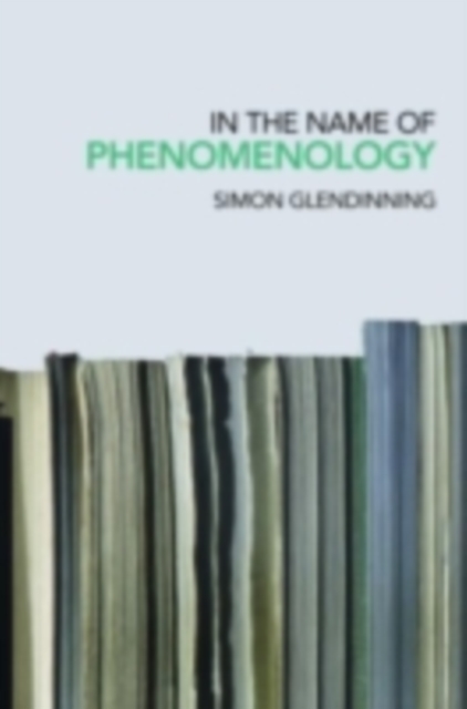 In the Name of Phenomenology, PDF eBook