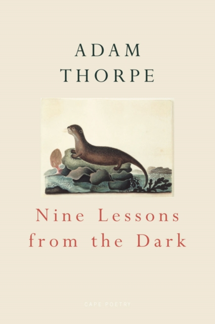 Nine Lessons From The Dark, Paperback / softback Book