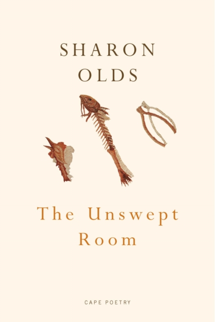 The Unswept Room, Paperback / softback Book