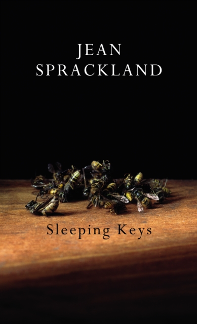 Sleeping Keys, Paperback / softback Book