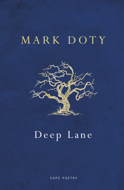 Deep Lane, Paperback / softback Book