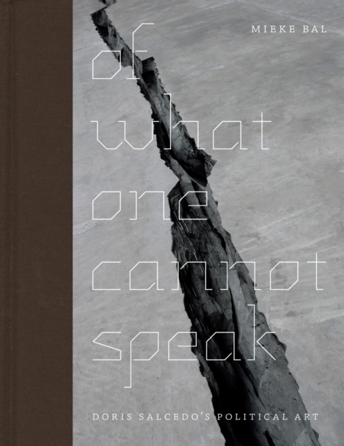 Of What One Cannot Speak : Doris Salcedo's Political Art, PDF eBook
